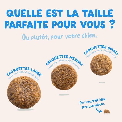 Visuel 6 du produit Edgard & Cooper Croquettes Chien Adulte Saumon Sans Céréales - 2,5 kg