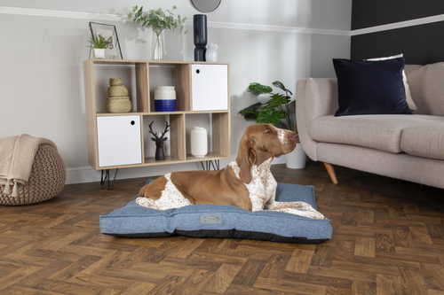 Visuel 7 du produit Couchage Chien – Scruffs Coussin Manhattan Bleu – Taille L