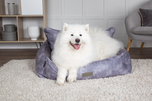 Visuel 7 du produit Couchage Chien – Scruffs Corbeille Kensington Gris – Taille XL