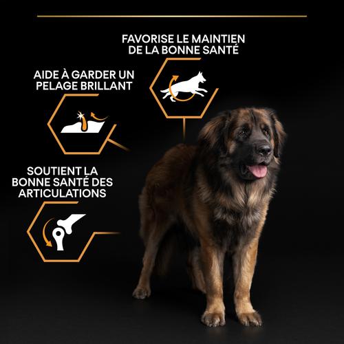 Visuel 8 du produit Croquettes Chien - ProPlan Large Adult Robust - 14 + 2,5 kg offerts