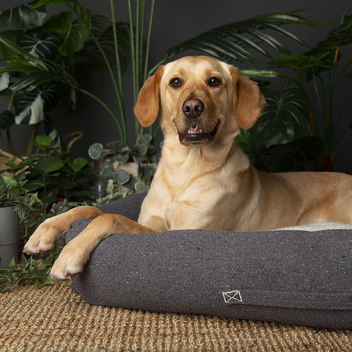 Visuel 3 du produit Scruffs Couchage Chien Corbeille Eco Eden Gris - Taille L 75 x 60 cm
