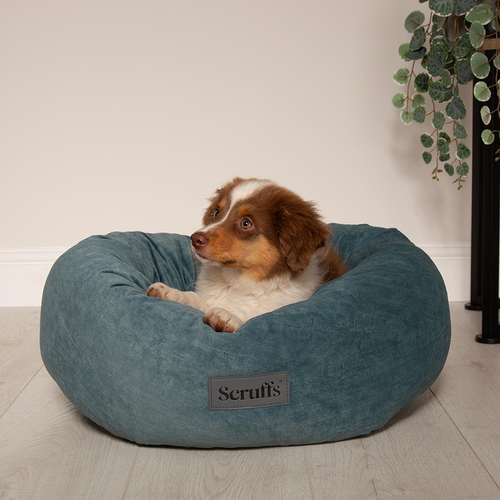 Visuel 5 du produit Couchage Chien - Scruffs Donut Oslo Taille XXL Vert - Ø 85 cm
