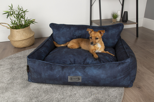 Visuel 5 du produit Couchage Chien – Scruffs Corbeille Kensington Bleu – Taille XL