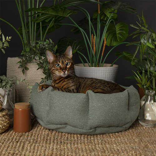 Visuel 7 du produit Scruffs Couchage Chat Corbeille Eco Eden Vert - Ø 45 cm