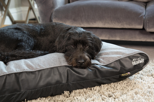 Visuel 6 du produit Couchage Chien – Scruffs Coussin Hilton Gris – Taille XL