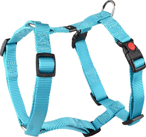 Visuel 1 du produit Harnais Chien - Flamingo Harnais H nylon Ziggi S Turquoise - 35 / 50 x 1,5 x 0,2 cm