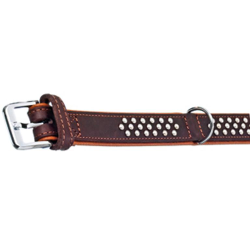 Visuel 1 du produit Collier Chien - Flamingo Collier Rondo clouté Marron - 57 x 3,5 x 0,5 cm