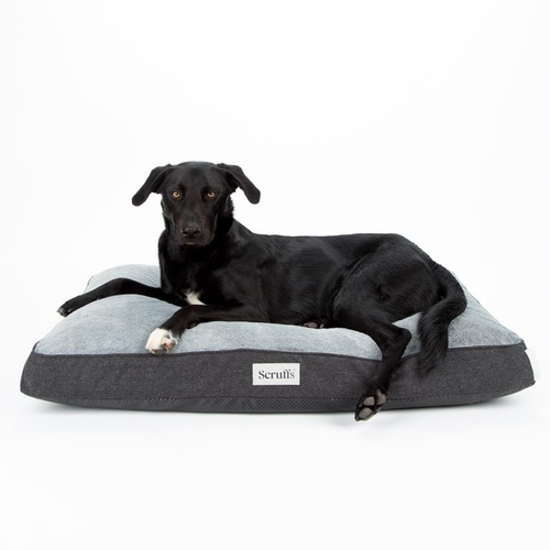 Visuel 5 du produit Scruffs Couchage Chien Coussin Orthopédique Harvard Gris - Taille L 100 x 70 x 12 cm