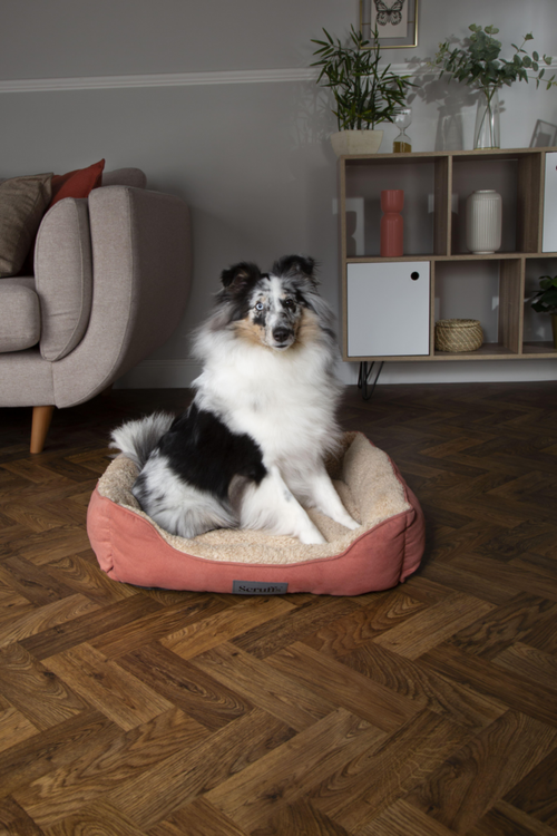 Visuel 2 du produit Couchage Chien - Scruffs Corbeille Cosy Taille XL Terracotta - 90 x 70 cm