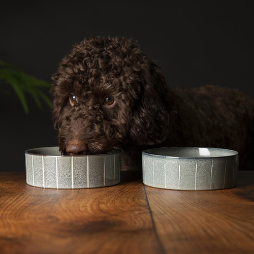 Visuel 5 du produit Scruffs Gamelle Chien Céramique Reactive Glaze Bleu Rayures – 19 x 19 x 8 cm