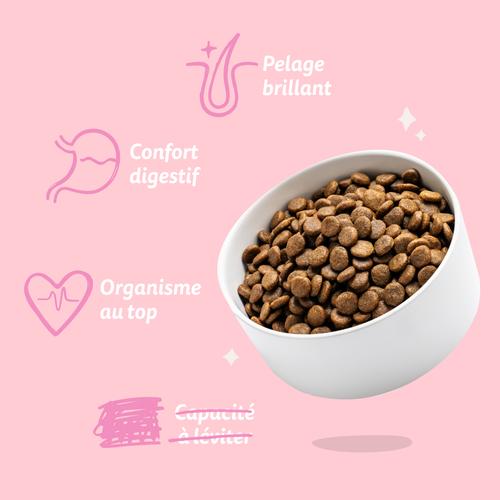 Visuel 7 du produit Edgard & Cooper Croquettes chiot Canard Poulet Sans Céréales - 7 kg