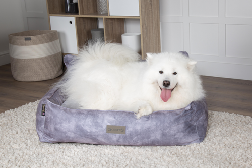 Visuel 8 du produit Couchage Chien – Scruffs Corbeille Kensington Gris – Taille XL