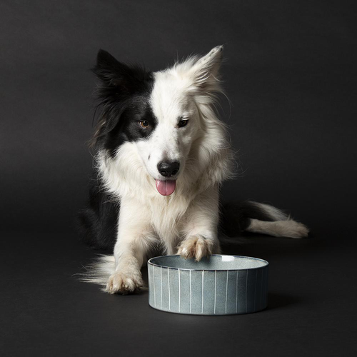 Visuel 3 du produit Scruffs Gamelle Chien Céramique Reactive Glaze Bleu Rayures – 19 x 19 x 8 cm