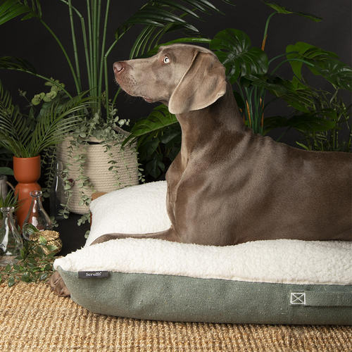 Visuel 4 du produit Scruffs Couchage Chien Coussin Eco Eden Gris - Taille XL 120 x 75 cm