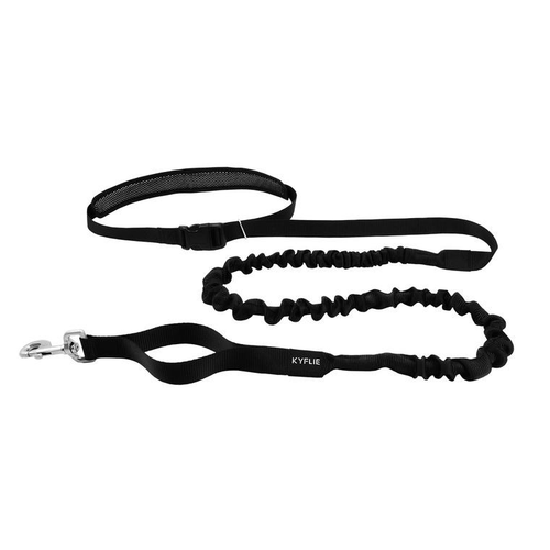 Visuel 1 du produit Éducation Chien - Kyflie Laisse ceinture Otium Noir - 290 cm