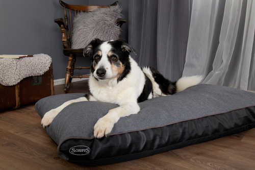 Visuel 2 du produit Couchage Chien – Scruffs Coussin Hilton Gris – Taille XL