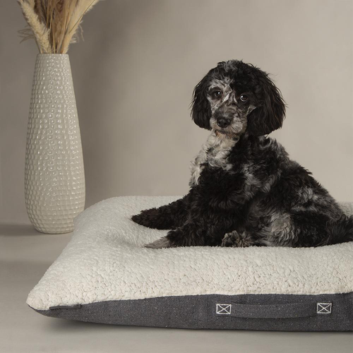 Visuel 6 du produit Scruffs Couchage Chien Coussin Eco Eden Gris - Taille M 80 x 60 cm
