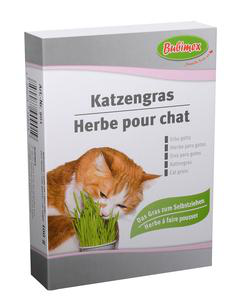 Visuel 1 du produit Friandises Chat - Bubimex Herbe à chat à brocher - 100 gr