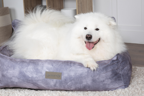Visuel 5 du produit Couchage Chien – Scruffs Corbeille Kensington Gris – Taille XL