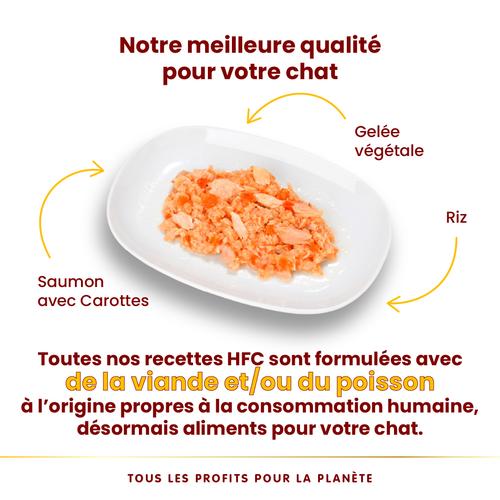 Visuel 3 du produit Boîte Chat – Almo Nature HFC Jelly Saumon avec Carotte 70 gr