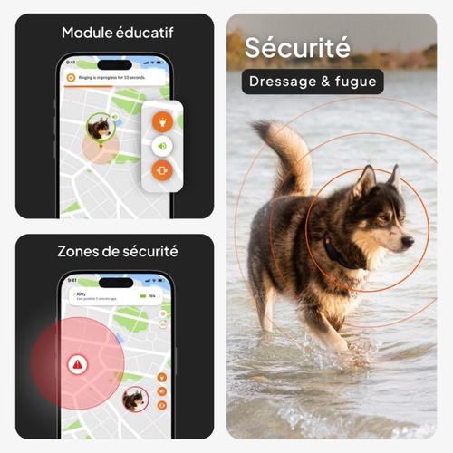 Visuel 4 du produit Weenect GPS Chien Sans Collier Noir XT