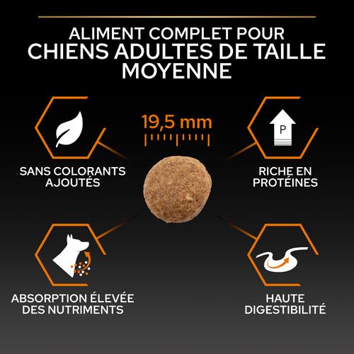 Visuel 7 du produit Croquettes Chien - ProPlan Large Adult Robust - 14 + 2,5 kg offerts