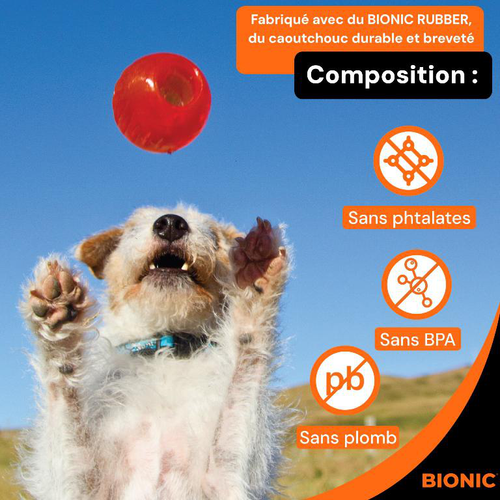 Visuel 6 du produit Bionic Jouet Chien Balle Orange L - Ø 8 cm