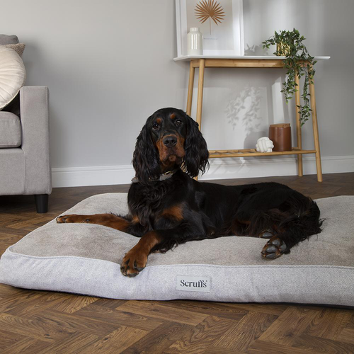 Visuel 4 du produit Scruffs Couchage Chien Orthopédique Coussin Harvard Marron - Taille XL 120 x 75 x 16 cm