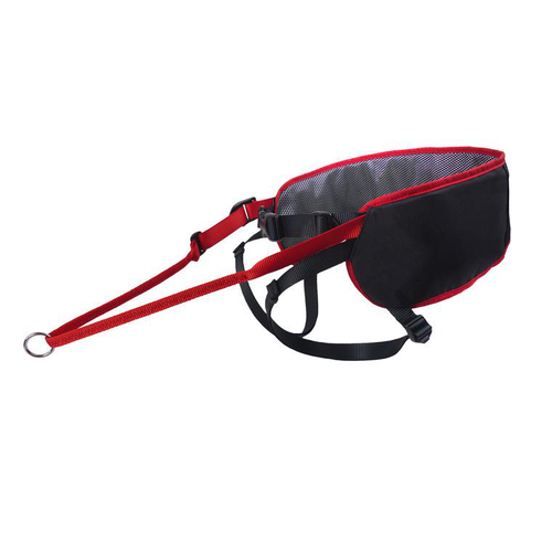 Visuel 1 du produit Éducation Chien - Kyflie Baudrier Ludus Performance Taille 1 Noir et rouge - 70 / 95 cm