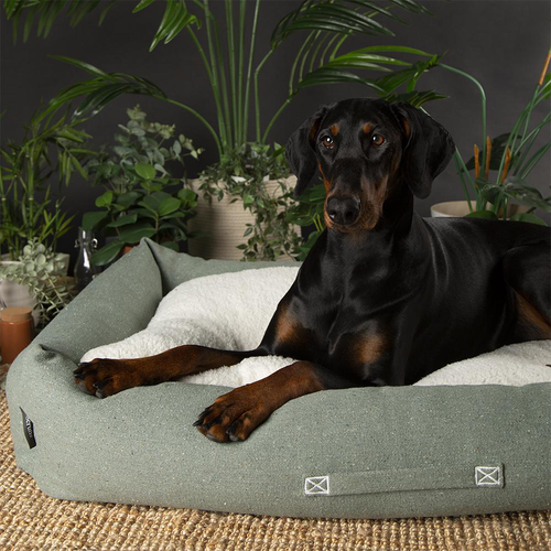 Visuel 3 du produit Scruffs Couchage Chien Corbeille Eco Eden Vert - Taille XL 90 x 70 cm
