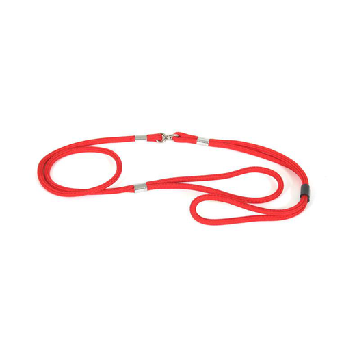 Visuel 1 du produit Laisse Chien – Martin Sellier Laisse de présentation rouge – 0,7 x 120 cm