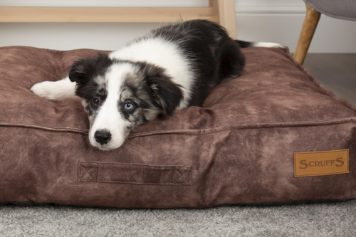 Visuel 4 du produit Couchage Chien – Scruffs Coussin Kensington Marron – Taille L