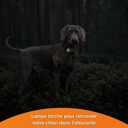 Visuel 8 du produit Sécurité Chien - Weenect GPS blanc XS – 60 X 23 X 12 mm