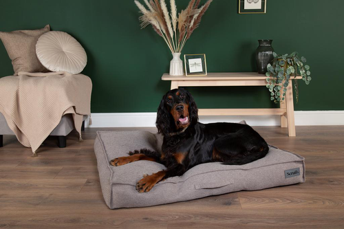 Visuel 3 du produit Scruffs Couchage Chien Coussin Seattle Gris - Taille M 80 x 60 x 14 cm