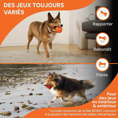 Visuel 3 du produit Bionic Jouet Chien Balle Orange L - Ø 8 cm