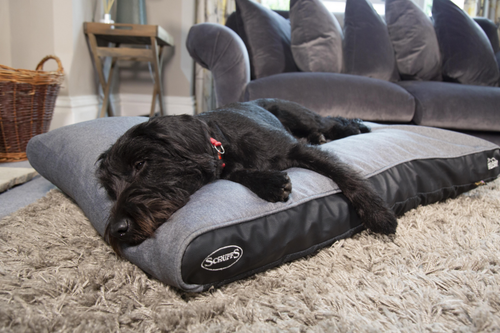 Visuel 8 du produit Couchage Chien – Scruffs Coussin Hilton Gris – Taille XL
