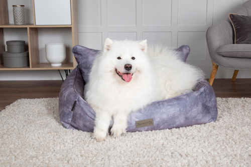 Visuel 11 du produit Couchage Chien – Scruffs Corbeille Kensington Gris – Taille XL