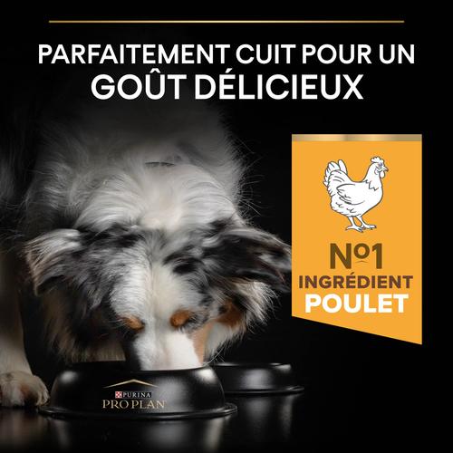 Visuel 4 du produit Croquettes Chien Stérilisé - ProPlan All Dogs Size Light - 14 + 2,5 kg offerts