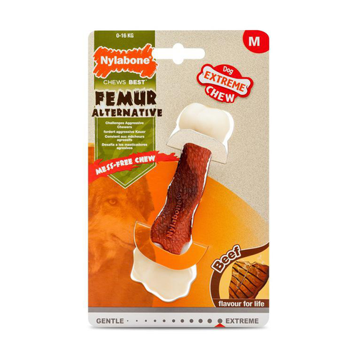 Visuel 1 du produit Jouet Chien - Nylabone Femur M