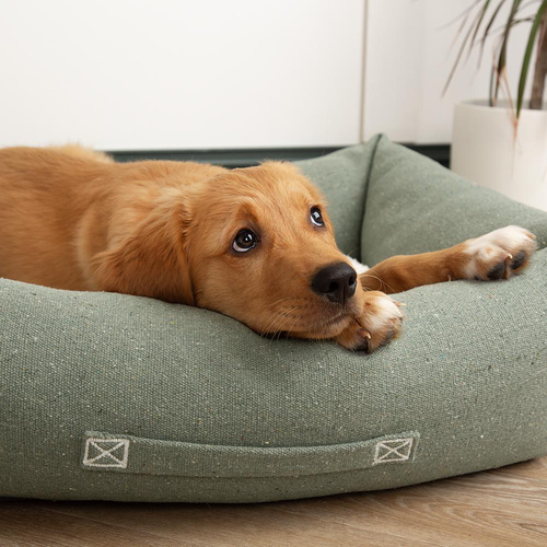 Visuel 3 du produit Scruffs Couchage Chien Corbeille Eco Eden Vert - Taille M 60 x 50 cm