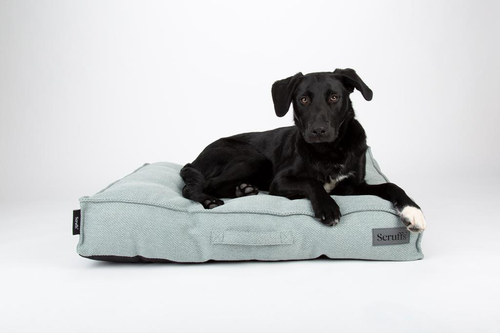 Visuel 3 du produit Scruffs Couchage Chien Coussin Ellen Vert - Taille L 100 x 70 x 14 cm