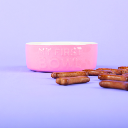 Visuel 4 du produit Gamelle Chien – Scruffs Ma première gamelle rose – Ø 13 x 5 cm