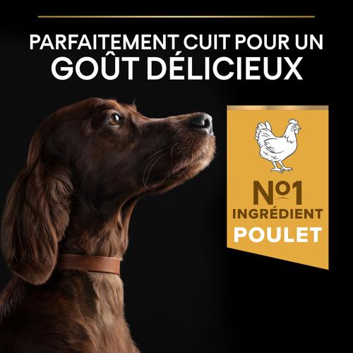 Visuel 4 du produit Croquettes Chien - ProPlan Large Adult Athletic - 14 + 2,5 kg offerts