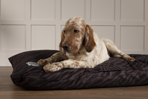 Visuel 6 du produit Couchage Chien – Scruffs Coussin Expédition Noir – Taille XXL