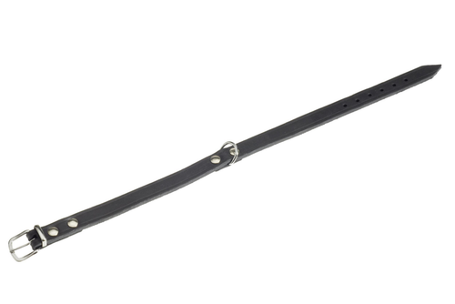 Visuel 1 du produit Collier Chien - Flamingo Collier Rondo Noir - 57 x 2 cm