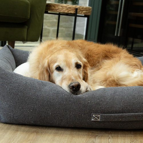 Visuel 4 du produit Scruffs Couchage Chien Corbeille Eco Eden Gris - Taille XL 90 x 70 cm