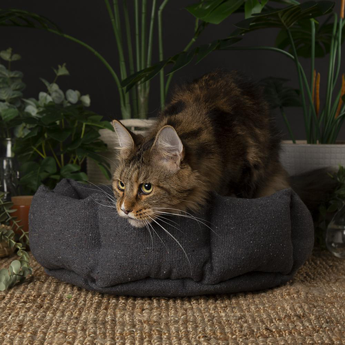 Visuel 9 du produit Scruffs Couchage Chat Corbeille Eco Eden Gris - Ø 45 cm