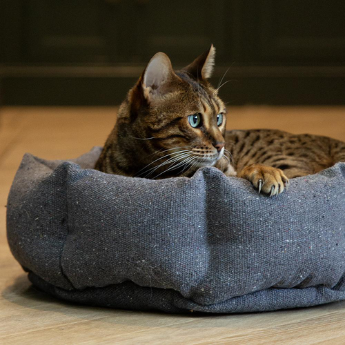 Visuel 3 du produit Scruffs Couchage Chat Corbeille Eco Eden Gris - Ø 45 cm