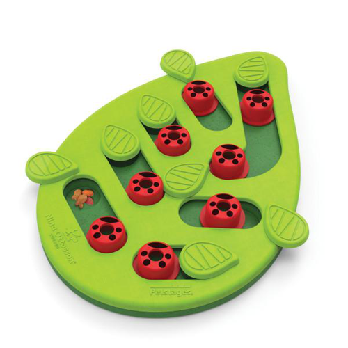 Visuel 1 du produit Jouet d'intelligence Chat - Nina Ottosson Buggin'out niveau 2