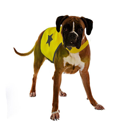 Meilleurs prix pour Gilet de sécurité jaune fluo pour chien 56 cm